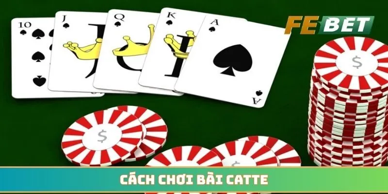 Cách chơi bài catte