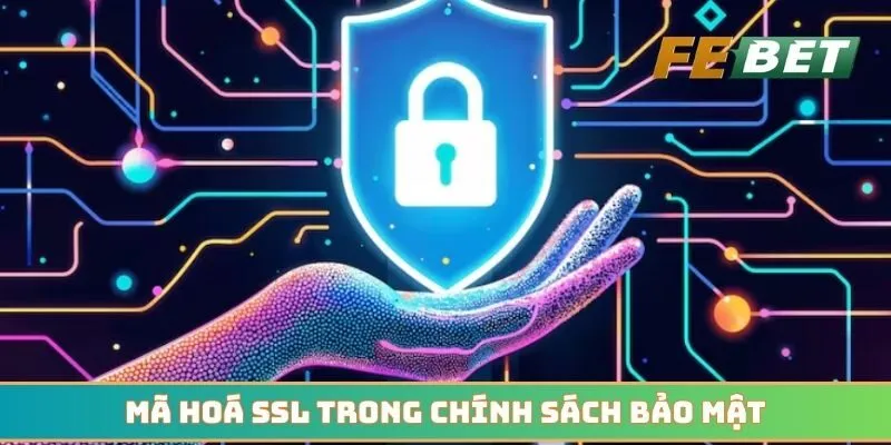 Mã hoá SSL được áp dụng trong chính sách bảo mật
