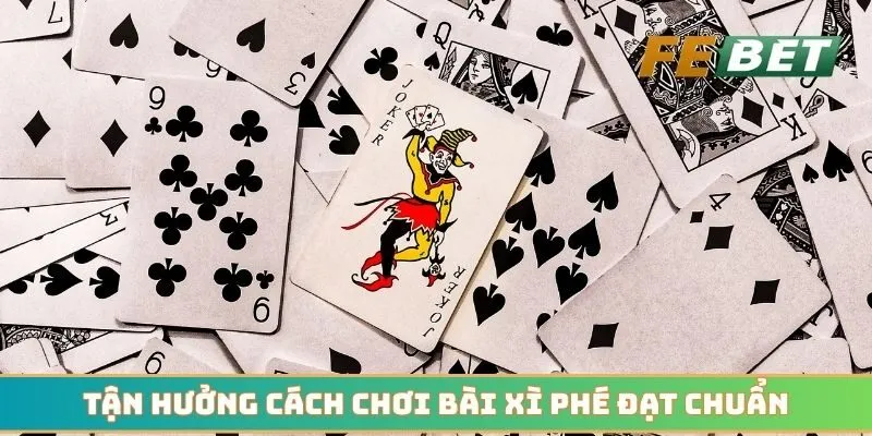 Tận hưởng cách chơi bài xì phé đạt chuẩn theo quy định